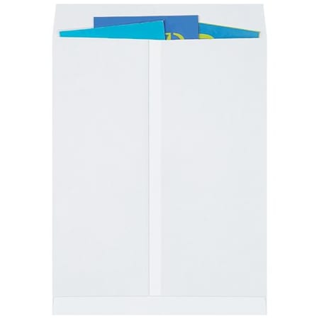 Bsc Preferred 17 x 22'' White Jumbo Envelopes, 250PK BUY00018844